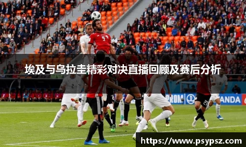 伟德bv国际体育