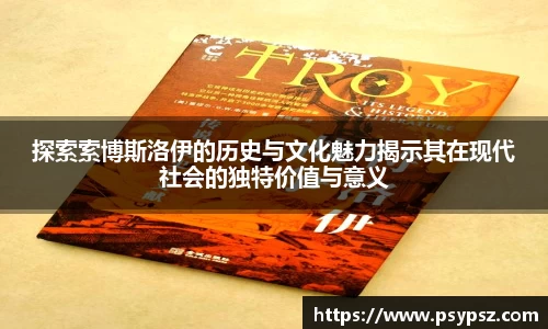 探索索博斯洛伊的历史与文化魅力揭示其在现代社会的独特价值与意义